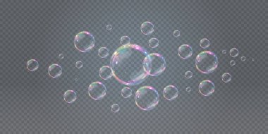 Gerçekçi sabun köpükleri koleksiyonu. Kabarcıklar şeffaf bir arkaplanda yer alır. Vektör uçan sabun köpükleri