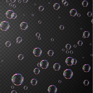 Gerçekçi sabun köpükleri koleksiyonu. Kabarcıklar şeffaf bir arkaplanda yer alır. Vektör uçan sabun köpükleri