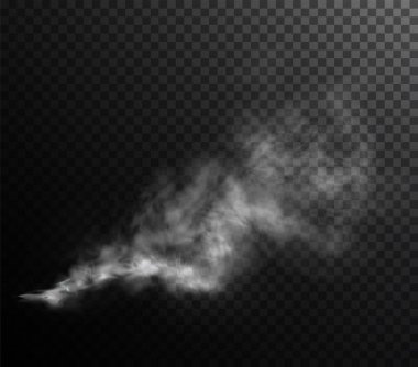 swirling cloud of smoke and mist, softly diffusing against a dark backdrop. A dynamic, abstract vector with flowing motion and atmospheric mystery.