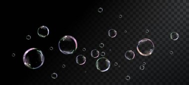 collection of realistic soap bubbles floating on a transparent background. A vector illustration featuring delicate, glass-like bubbles suspended in midair.