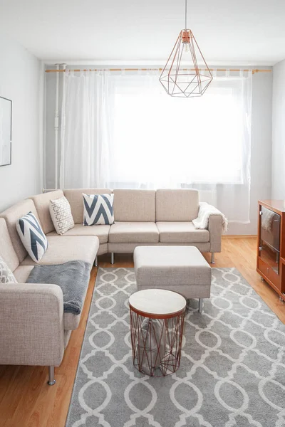 Scandinavian, Elegant, Minimalism Living Room Furnished in Neutral Beige and Gray Colors. Comfortable nordic living.