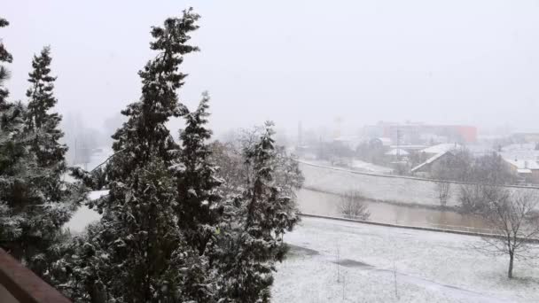 Nove Zamky Slowakei Europa 2021 Winterlandschaft Blick Auf Eine Verschneite — Stockvideo