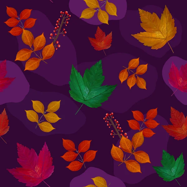 一个现代的 手绘彩色的 充满活力的秋天叶子在紫色背景 包装纸 包装材料 广告的秋季背景 — 图库矢量图片