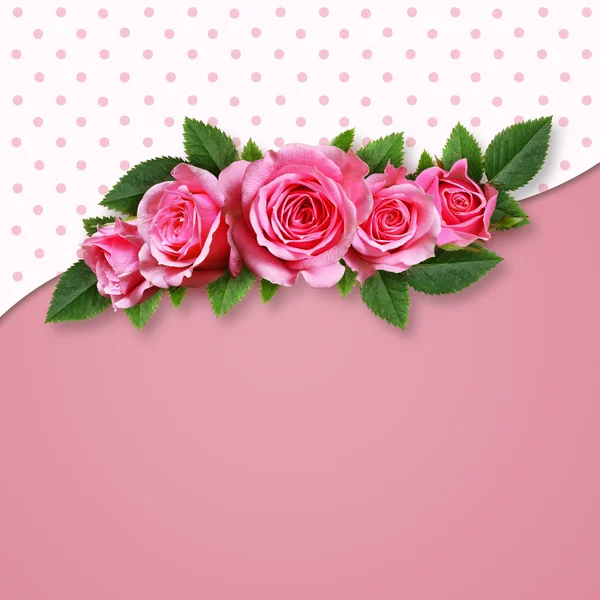 Ροζ τριαντάφυλλο λουλούδια σε ροζ φόντο — Φωτογραφία Αρχείου