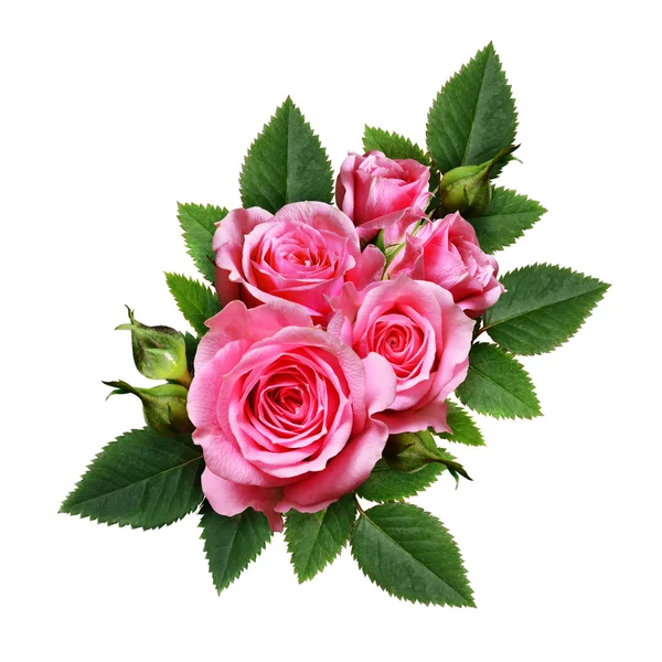 Composizione di fiori di rosa rosa — Stockfoto