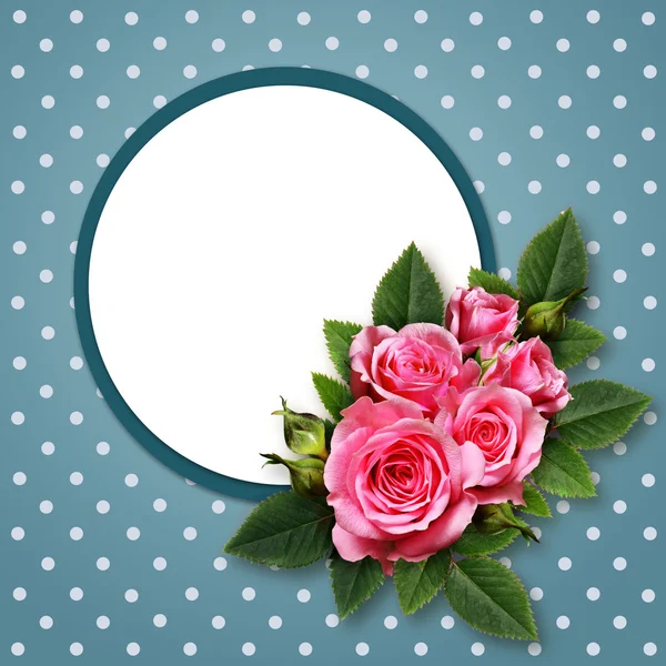 Pink rose flowers and a frame — Stock Photo, Image