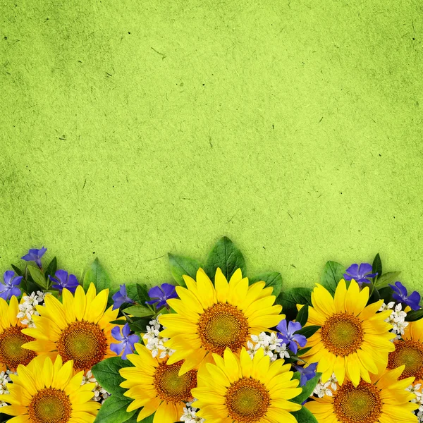 Sunflowers and wild flowers background — Stock Photo, Image