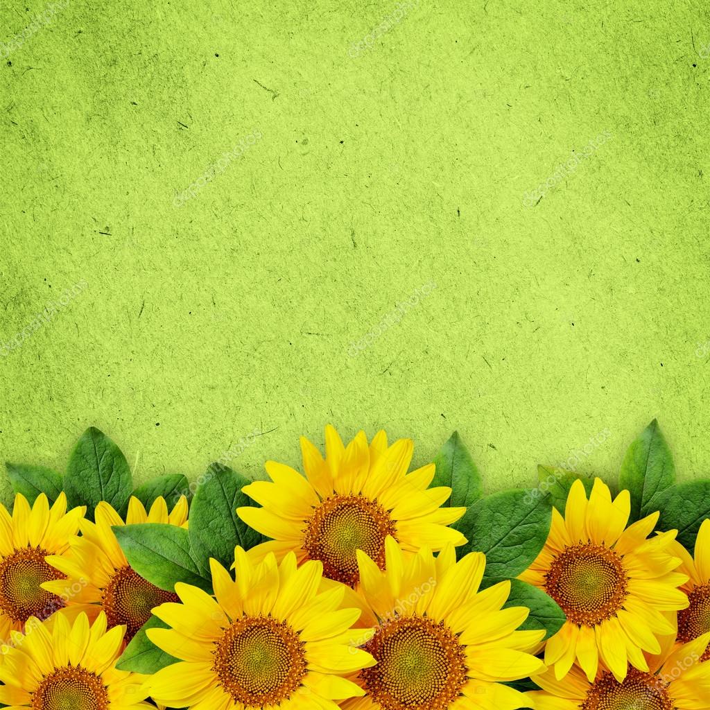 Girasoles fondo verde: fotografía de stock © ksushsh #108406592