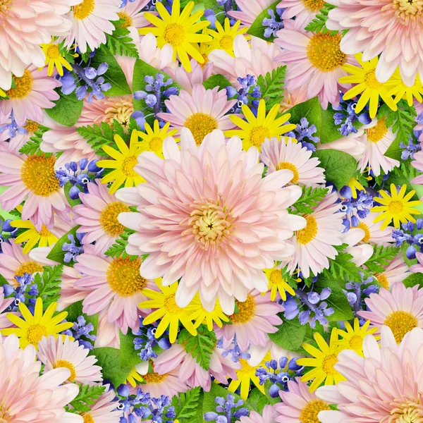 Asters e flores silvestres fundo — Fotografia de Stock