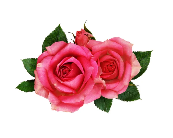 Ροζ τριαντάφυλλο λουλούδια μπουκέτο — Φωτογραφία Αρχείου