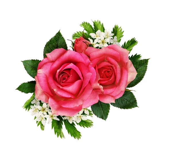 Pink rose flowers bouquet — Stock Photo, Image