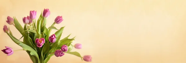 Pembe Lale çiçek buketi — Stok fotoğraf