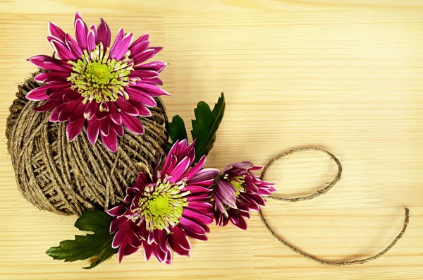 Chrysanthemenblüten und ein Seil — Stockfoto