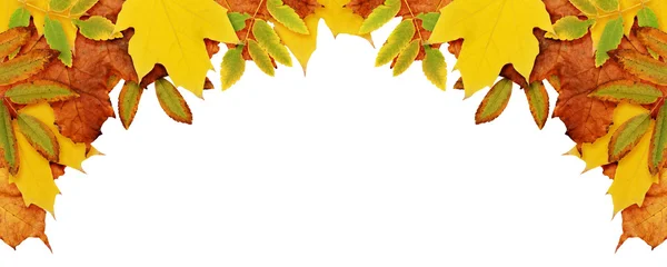 在一个角落里的干树叶秋天背景 — 图库照片