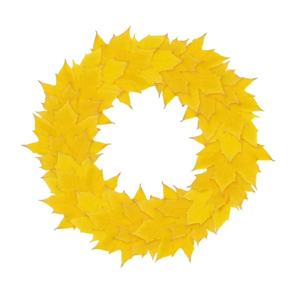 단풍 잎에서가 노란 화 환 — 스톡 사진