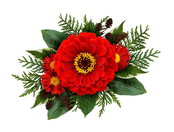 Composição de Natal com flores zinnia — Fotografia de Stock