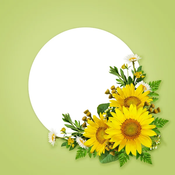 Sunflowers and wild flowers and a place for text — Stock Photo, Image