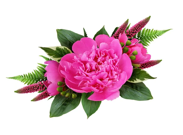 Peonia composizione fiori — Foto Stock