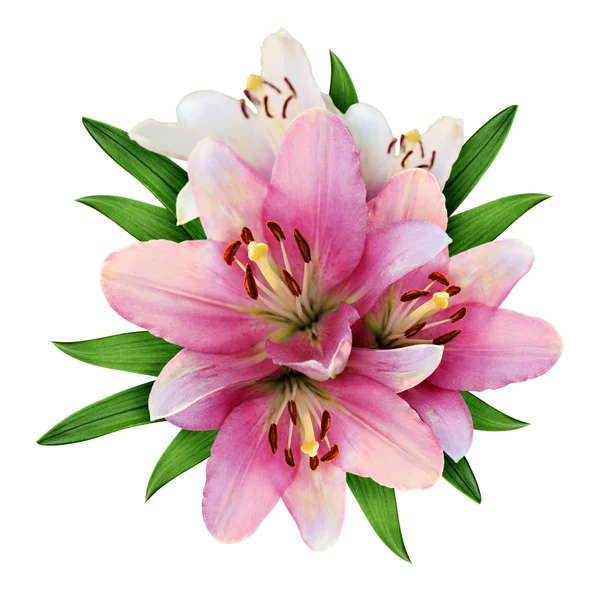 Pembe lily çiçek buketi — Stok fotoğraf