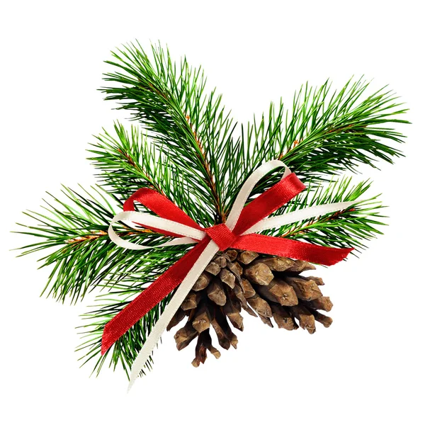 Christmas decoration with pine twigs, cones and ribbon bow — Stock Photo, Image