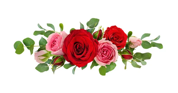Red and pink rose flowers with eucalyptus leaves in a line arrangement isolated on white background. Flat lay. Top view.