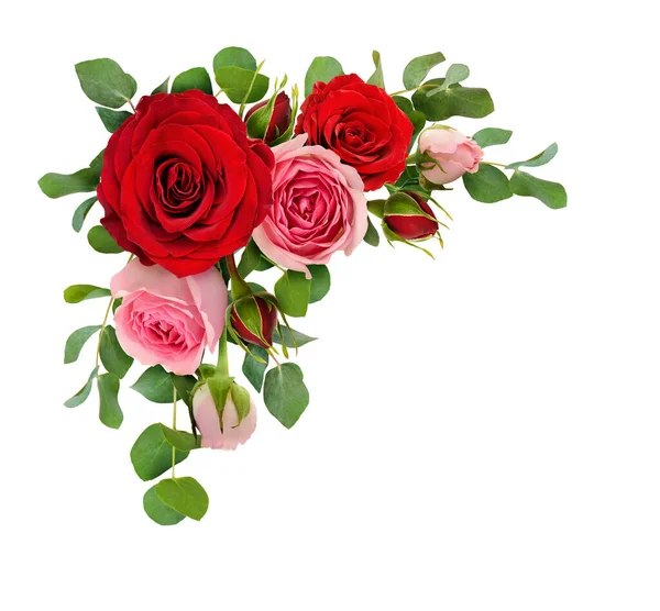 Červené Růžové Květy Růží Listy Eukalyptu Rohovém Uspořádání Izolovaném Bílém — Stock fotografie