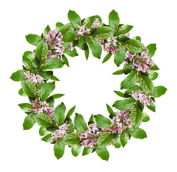 Spring Wreath Green Leaves Lilac Flowers Isolated White Background Flat — Stock Photo, Image