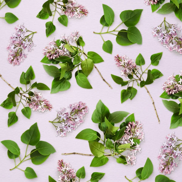 Lilac Květiny Listy Fialovém Papíře Pozadí Ležel Horní Pohled — Stock fotografie
