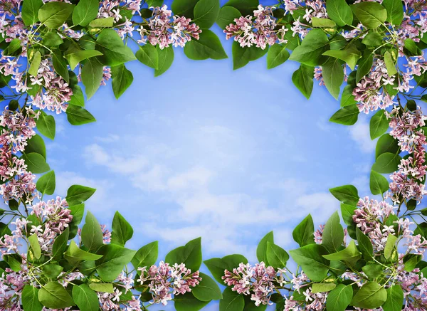 Bloemen Frame Met Lila Bloemen Bladeren Blauwe Lucht Achtergrond — Stockfoto