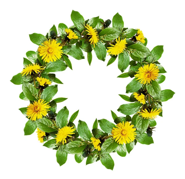 Spring Wreath Green Leaves Dandelion Flowers Isolated White Background Flat — Stock Photo, Image