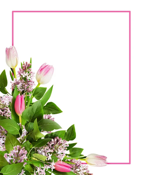 Fleurs Lilas Tulipes Dans Arrangement Angle Avec Cadre Rose Isolé — Photo