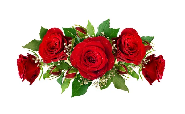 Composição Romântica Com Rosas Vermelhas Flores Gypsophila Botões Isolados Fundo — Fotografia de Stock