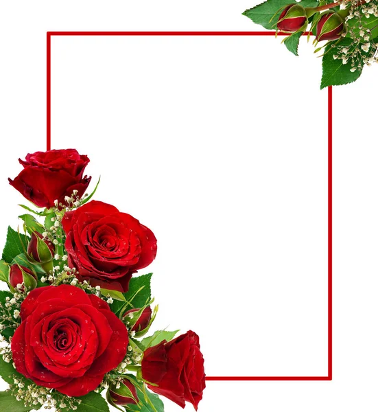 拐角处排列着红玫瑰和吉普赛花和花蕾 与白色背景隔离 平躺在床上顶部视图 — 图库照片
