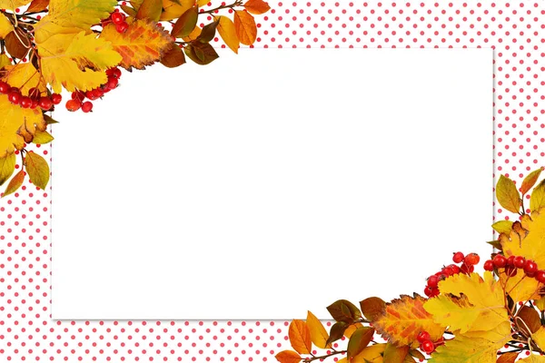 秋天的叶子和红色的浆果在一个角落的安排与卡片上的波尔卡圆点背景 平躺在床上顶部视图 — 图库照片