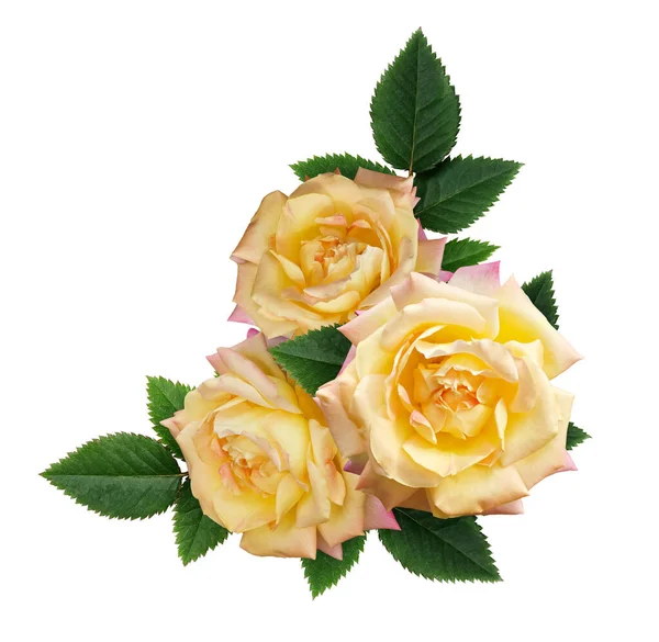 Amarelo Rosa Flores Arranjo Isolado Fundo Branco — Fotografia de Stock