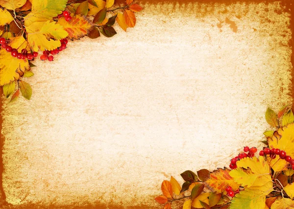 가을에 과붉은 빈티지 배경에 배열되어 평평하게 위에서 로열티 프리 스톡 사진