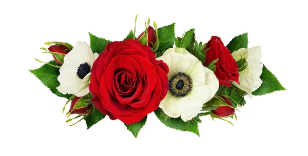 红玫瑰和海葵花和叶子呈线状排列 与白色背景隔离 平躺在床上顶部视图 — 图库照片