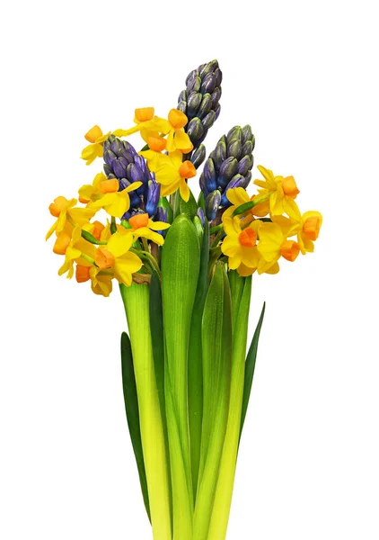 Hyacinth Narcissus Flowers Bouquet Isolated White — Stock Photo, Image