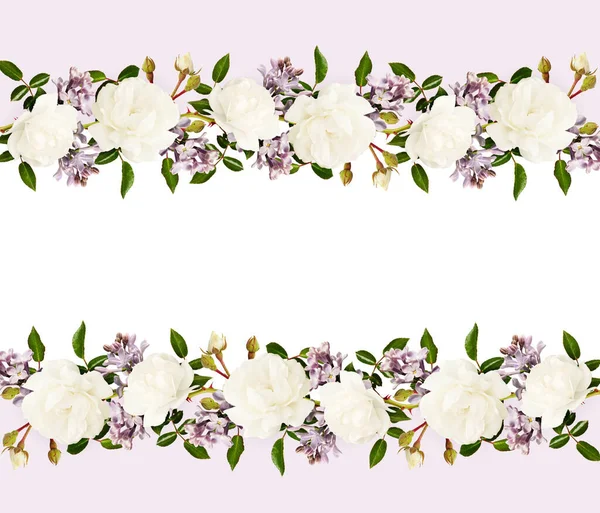 白と紫の背景の境界配置の庭のバラとライラックの花 — ストック写真