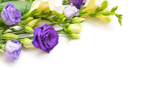 Composición Flores Sobre Fondo Blanco Acostado Vista Superior — Foto de Stock