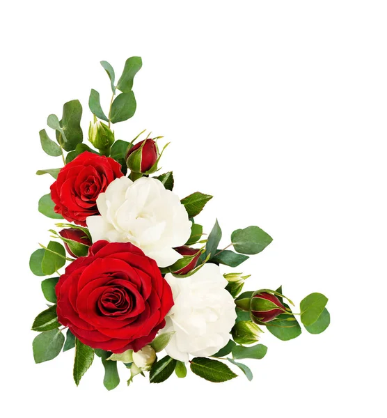 Flores Vermelhas Brancas Rosa Com Folhas Eucalipto Arranjo Canto Isolado — Fotografia de Stock