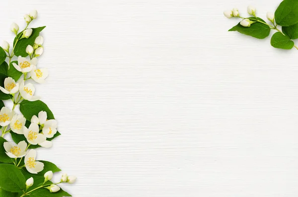 Dekorative Kompositionen Mit Jasminblüten Und Blättern Auf Weißem Holzgrund Flach Stockfoto