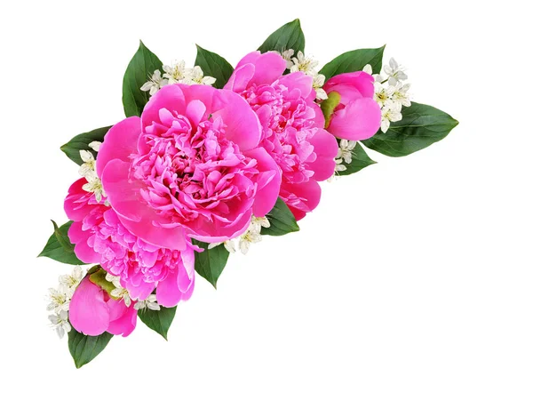 Décoration Angle Avec Pivoines Roses Petites Fleurs Blanches Isolées Sur — Photo