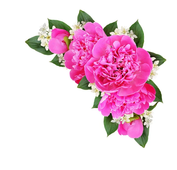 ピンクの牡丹と白い背景に孤立した小さな白い花とコーナー組成 平置きだ トップ表示 — ストック写真