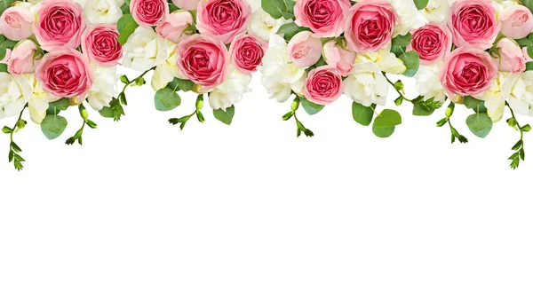 Eucalyptus Bladeren Freesia Roze Rozenbloemen Een Top Border Arrangement Geïsoleerd — Stockfoto