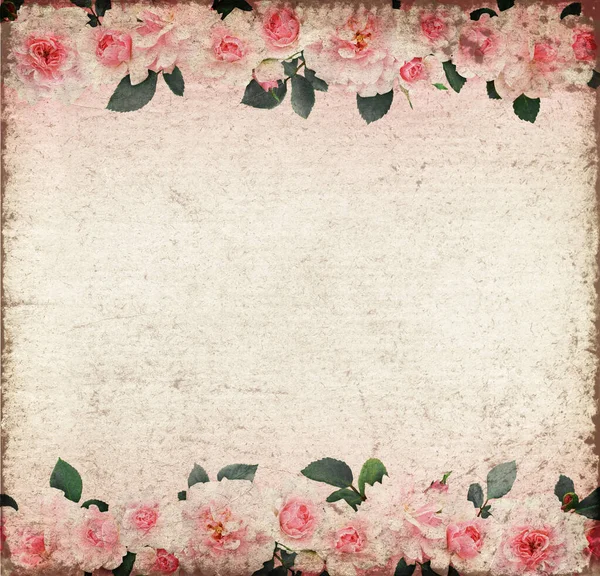 Różowe Kwiaty Róży Liście Kompozycji Linii Starym Papierze Tle — Zdjęcie stockowe