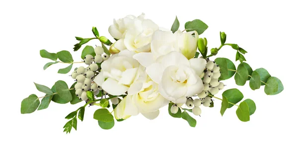 Frische Weiße Freesiablüten Und Eukalyptusblätter Anordnung Isoliert Auf Weißem Hintergrund lizenzfreie Stockbilder