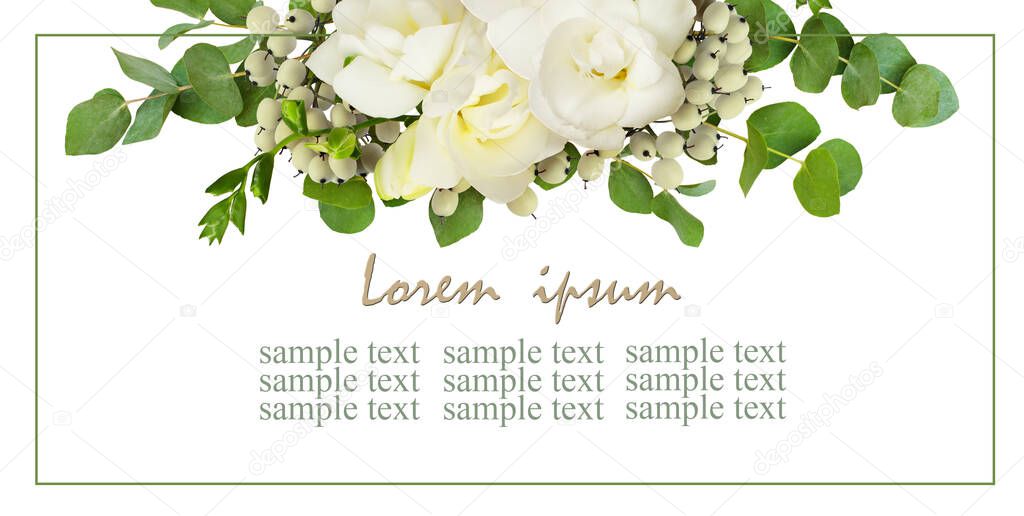 Floral background with fresh white freesia flowers and eucalyptus leaves isolated on white 