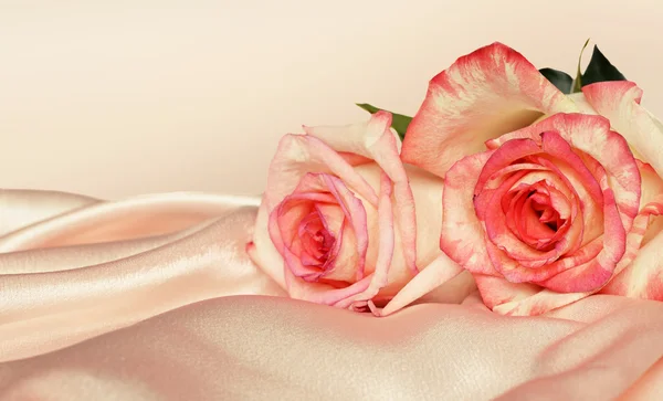 Pink satin and roses — Stock Photo, Image