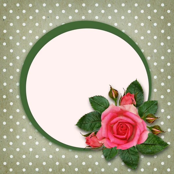 Rosa blommor och ram — Stockfoto